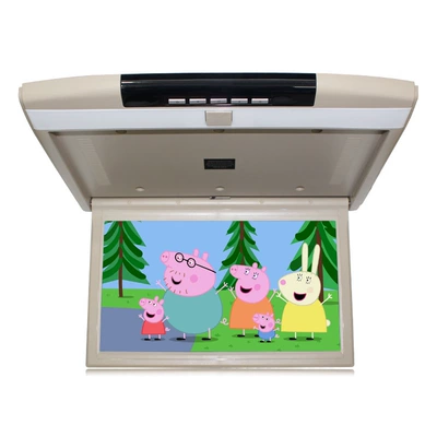 car ceiling monitor projection — Car display
