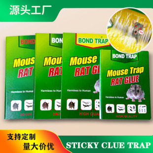 ���QӢ��ճ���Sticky mouse trap����ճ�����Nץ�����F؛���l