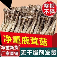 鹿の角キノコ乾物 500g 雲南特産 サクサクキノコ袋材 栄養スープ 50g
