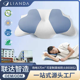 跨境新款记忆枕慢回弹记忆棉枕头护颈枕透气舒缓颈椎异形枕头批发