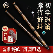 紫竹短萧初学者入门洞箫专业短竹箫便携八孔G调F高级玉短潇笛乐器