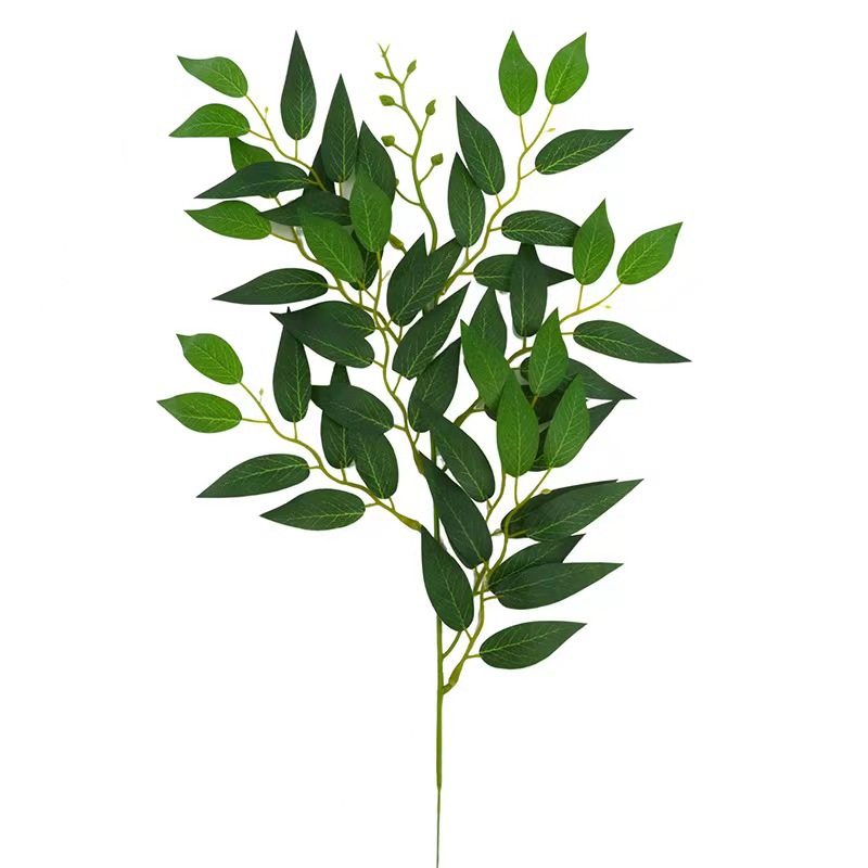 모래 대추 잎--녹색