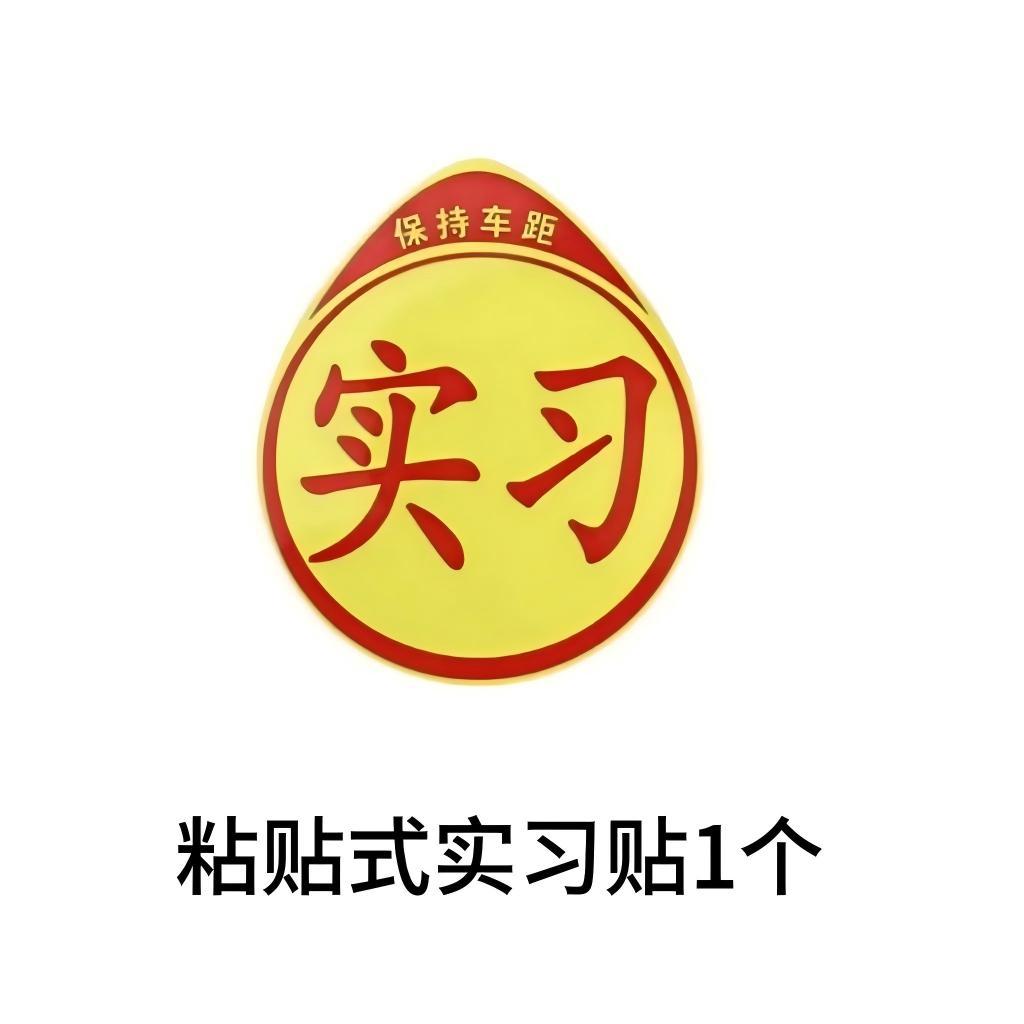 접착식 스타일 [1개]