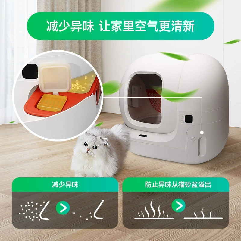 Automatic deodorant, Amazon