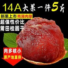 【14A新货】正宗莆田桂圆干肉厚新鲜特大龙眼干货无核桂圆肉