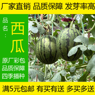 �o�����ϳ���Ƥ���������߮a������Ƥ�o���ش�����ˮ���N��