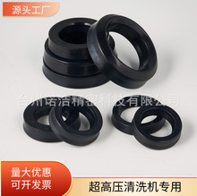 各钟尺寸橡胶主水封副水封 适用于清洗机高压柱塞泵 高质量密封