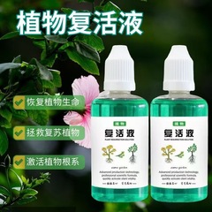 植物復活液解決植物黄葉光棒半死不活果野菜緑植花卉通用型卸売り