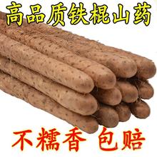 HT铁棍山药正当季 代发铁棍山药怀山垆土小白嘴山药河南焦作1-5斤