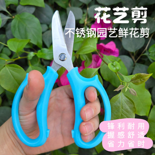 Floral Scissors, Thickened Gardening Scissors, Curved and Straight Head Scissors, Floral Scissors, Pruning Shears, Special Sharp Scissors for Floral Art