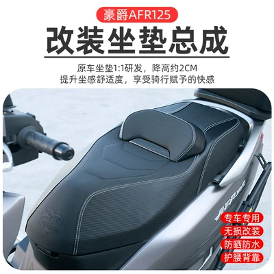 Motorcycle cushion modified cushion assembly AFR125
