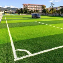 ����Gֲ�׃��@������@��� �� ��Ƥ�׃��@��ƺ��̺��������Ƥ