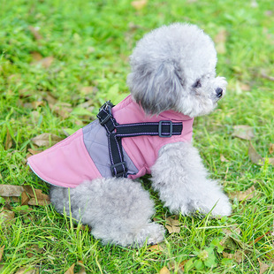 Herbst Und Winter Neue Haustier Kleidung Warme Lisi Samt Hunde Kleidung Plus Samt Verdickte Kleine Und Mittlere Hunde Weste Kleidung Großhandel display picture 14