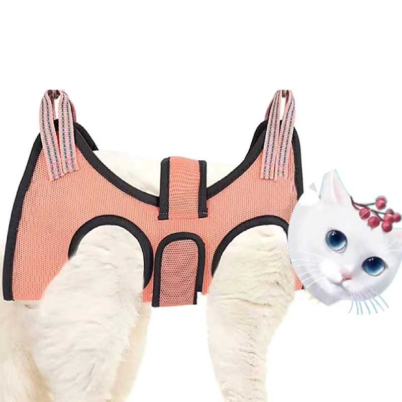 ペット美容ハンモック中小型猫犬爪トリミングお風呂で耳をきれいにする美容服|undefined