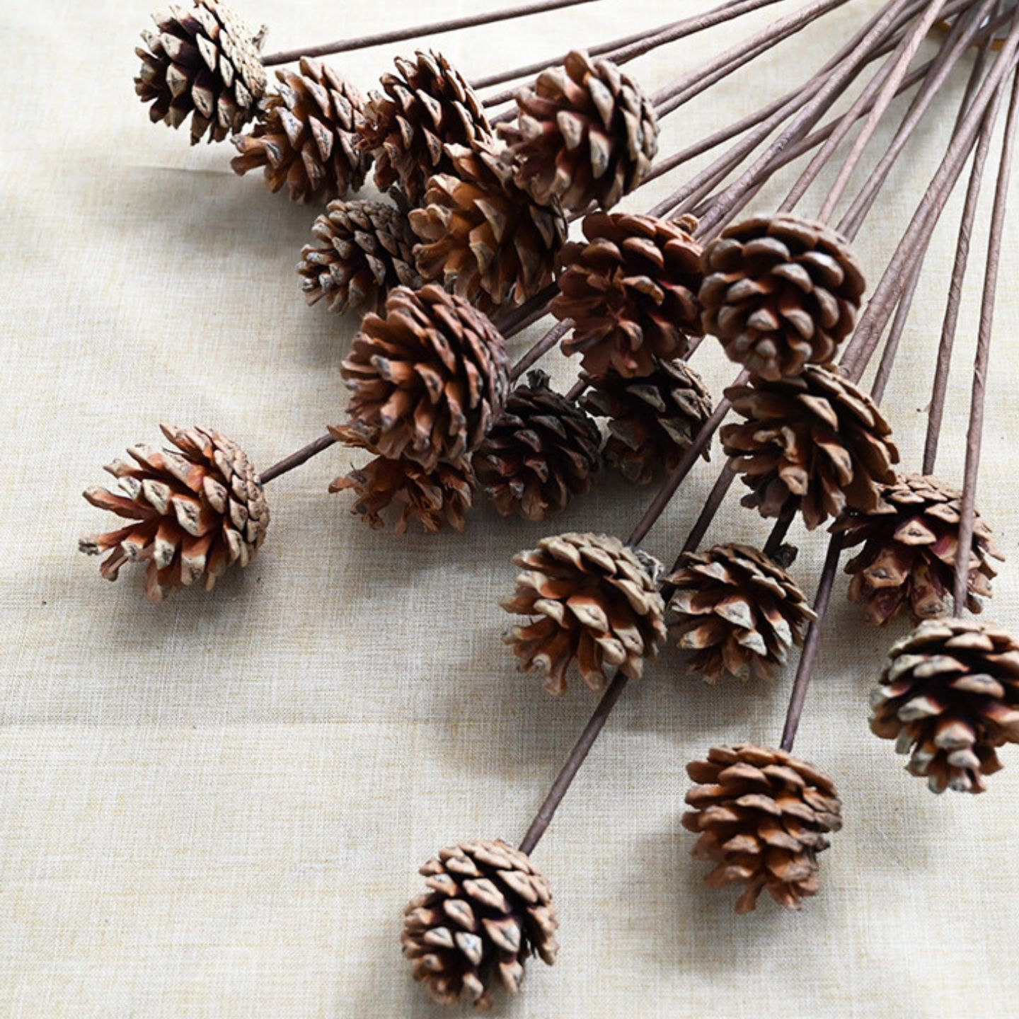 Ramo de flores secas de piñas Decoración de la sala de estar Accesorios de tiro Flores secas Decoración de arreglos florales de piñas Decoración de muebles para el hogar Decoración de piñas