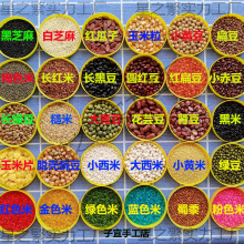 ֹDIYsZNӶճNͯ׃@ֹnϰ