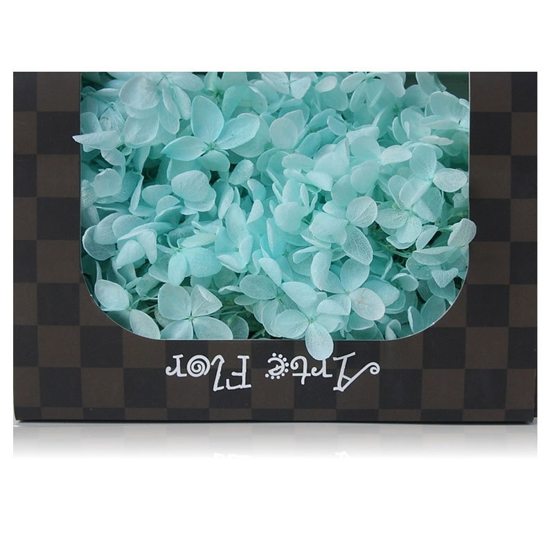 나무 수국 영원한 꽃-라이트 블루 20g