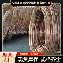 ����������C5191�������~����ӏ������~�z �B���������������~��