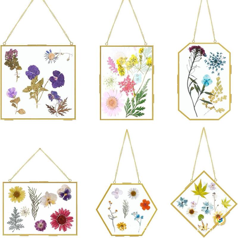 Ღfactory Direct Sale Brass Vintage Creative Glass Artwork Plant Specimen Double-Sided Glass Metal Photo Frame
