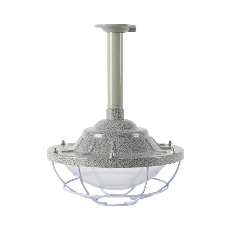 Aiming Explosion-proof LED lights, industrial spotlight, ceiling lamp, 100W