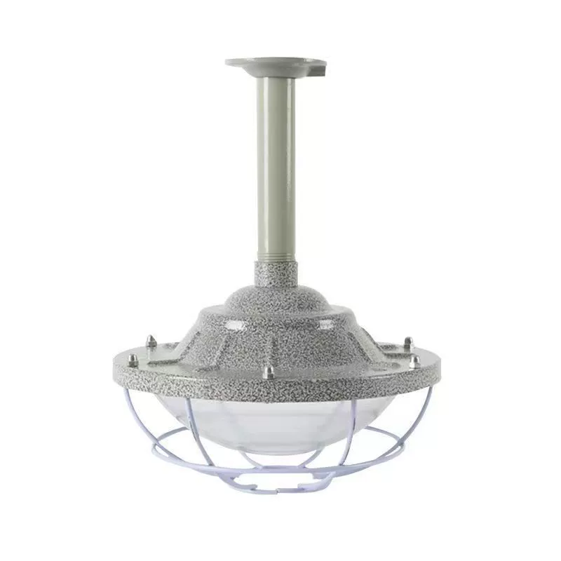 Aiming Explosion-proof LED lights, industrial spotlight, ceiling lamp, 100W