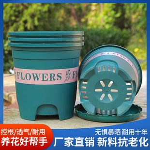 Root-Controlled Gallon Pot Green Plastic Flower Pot Green Lure Fleshy Rose Thickened Extra Large Pot Nordic Simple Style Flower Pot
