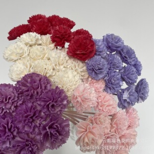 �羳ֱ���ɻ�ͨ�ݻ�С����ܰ4CM�Ҿ��̵ꙻ���b��ֹ�����޹�[��