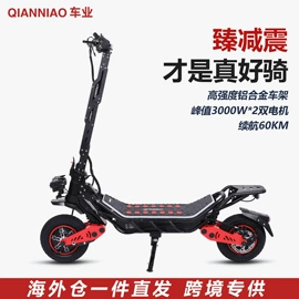 滑板车;其他电动车