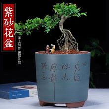 紫砂花盆悬崖式圆柱桶形盆君子兰花卉绿植室内简约大号陶瓷盆