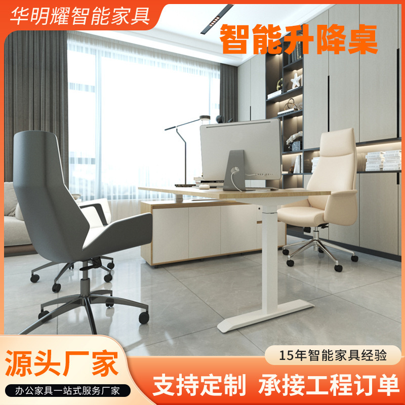 Height-Adjustable Electric Lift Desk, Computer Desk, Home Office Desk, Gaming Desk, Standing Desk