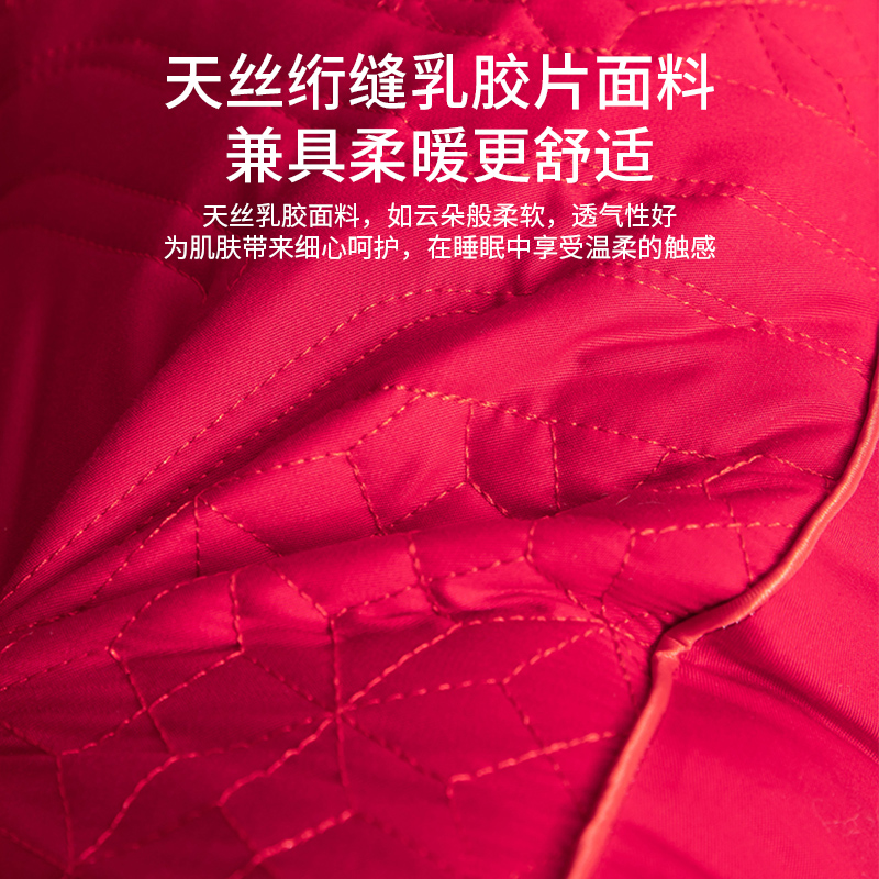 58C1乳膠蠶絲枕頭新婚快樂大紅色喜慶枕芯陪嫁枕頭結婚一對套繡花