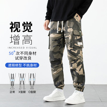 �ﶬ����܊�Gɫ���e�Lѝ����ʽ��ڴ�����������_���b�ԲʙC��ѝ