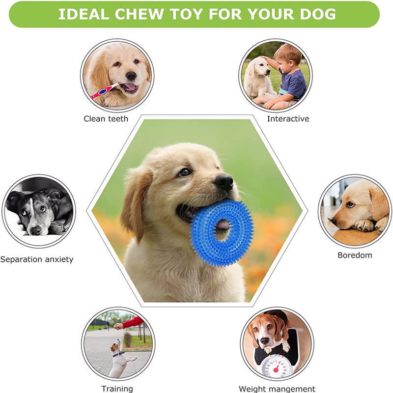 Amazon juguetes para mascotas traje de limpieza de sonido juguetes para perros 6-piece set fabricante en stock juguetes para perros