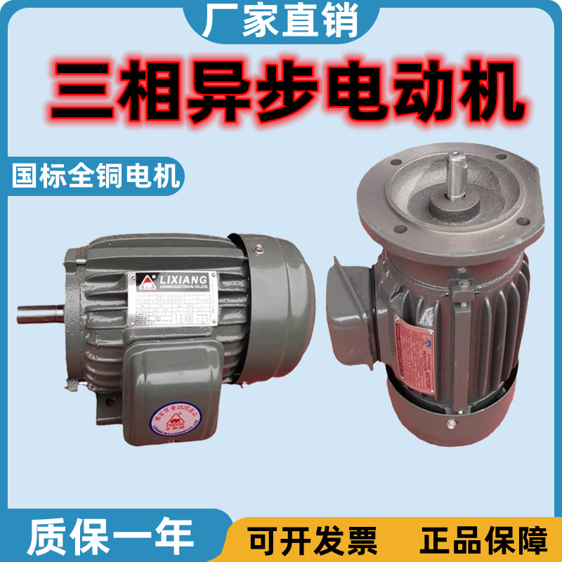 YT AEEF-AC 4极 三相异步电动机卧式马达立式电机铜芯台湾电机