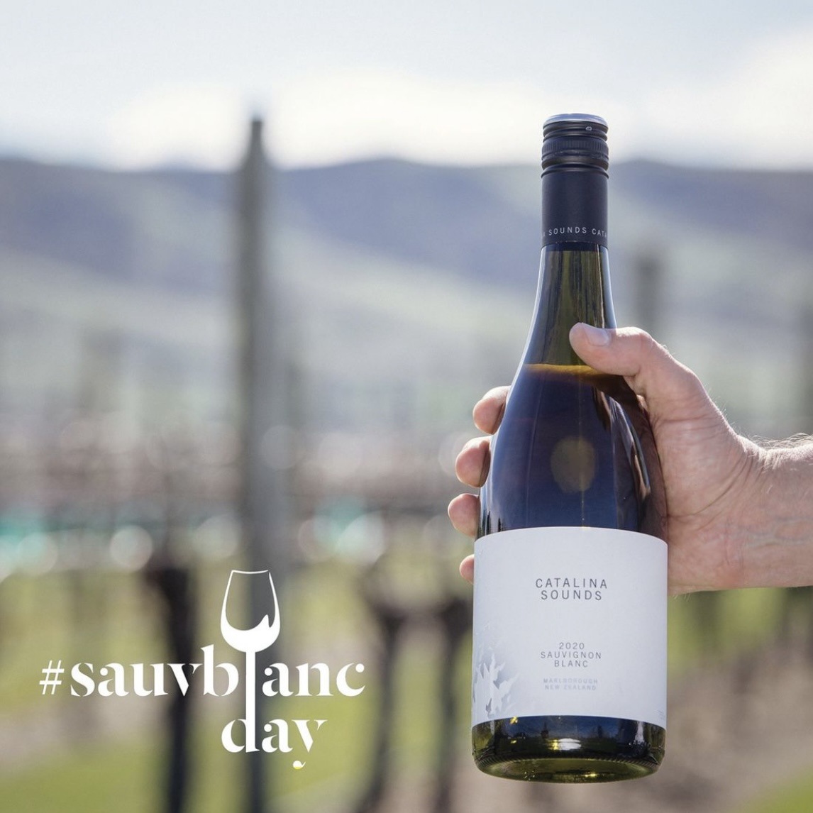 葡萄酒长相思卡特琳娜之声95分金奖新西兰马尔堡产区长相思红酒