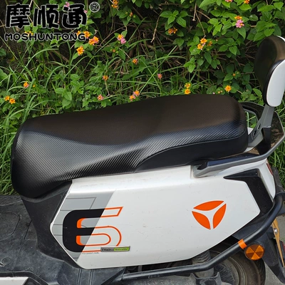 Electric car cushion Fully Enclosed, Waterproof, Anti-Scalding Seat