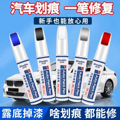 models wholesale and retail — Avtomobil boyası