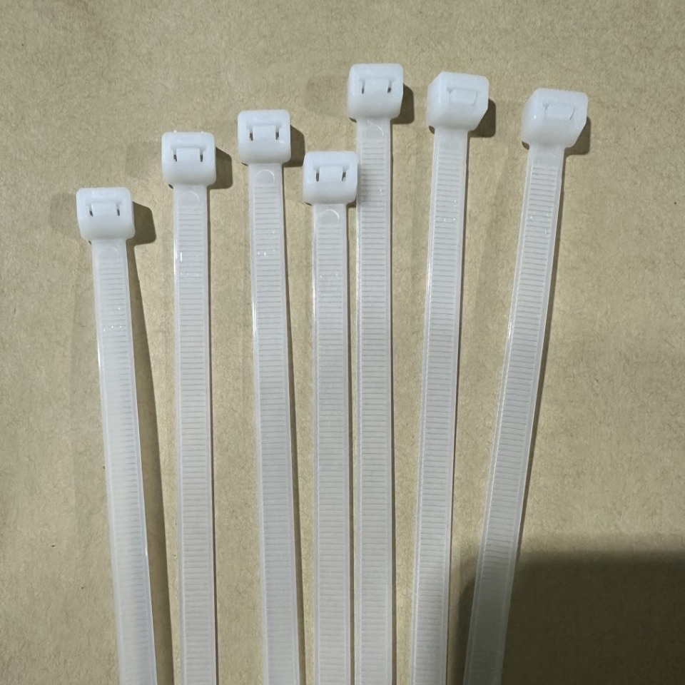 扎带尼龙扎带3x100x4x150x5x250x8x300x10x400x500线束带塑料扎带