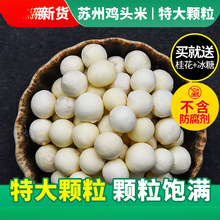 ��1���ʳ���ش��w���u�^�����r�K�ݷ��ք��͌�