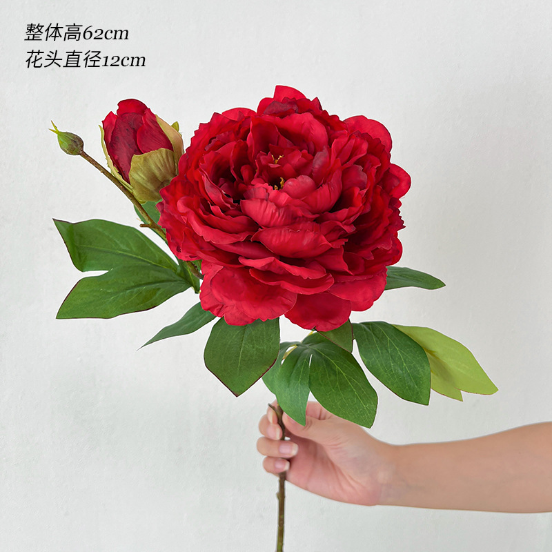 붉은 봄 모란 2개