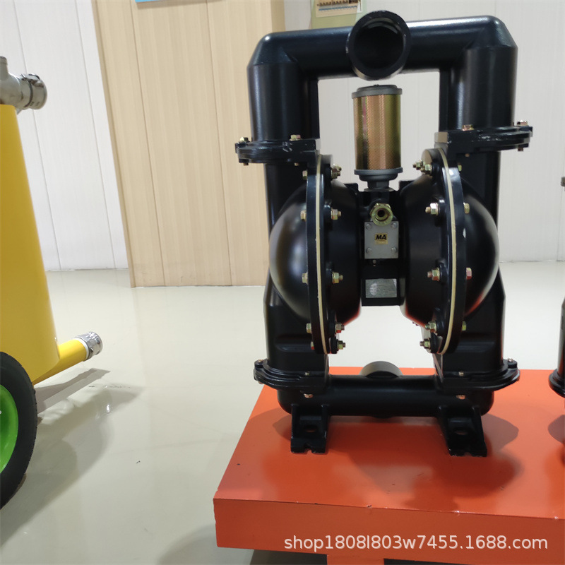 点击打开原图 隔膜泵 (10).jpg