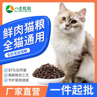 Full price grain-free cat food into a cat special English short blue cat Garfield cat mi food hair gills natural food manufacturers wholesale generation