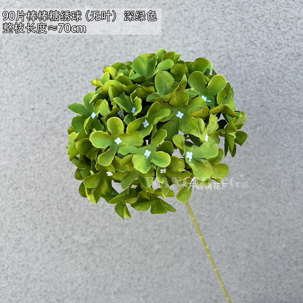 다크 그린 90 롤리팝 수국 (잎 없음)