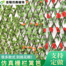 �羳�h�ʖř���s����ͥԺ�����o���~���ړ�ֲ�����Gֲ���ܷ���