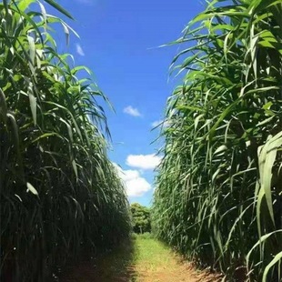 ���羳��؛�����͸߮a�޾��ݷN�Ӷ������ļ���������ݻ���ݷN��