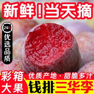 ��S���]�����X�����A������5�����t�����Ӯ������ЋDˮ��3�Fժ