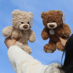 テディベア人形ハグベアぬいぐるみ男の子の誕生日プレゼントキャッチマシン人形フラワーショップ布クマ人形