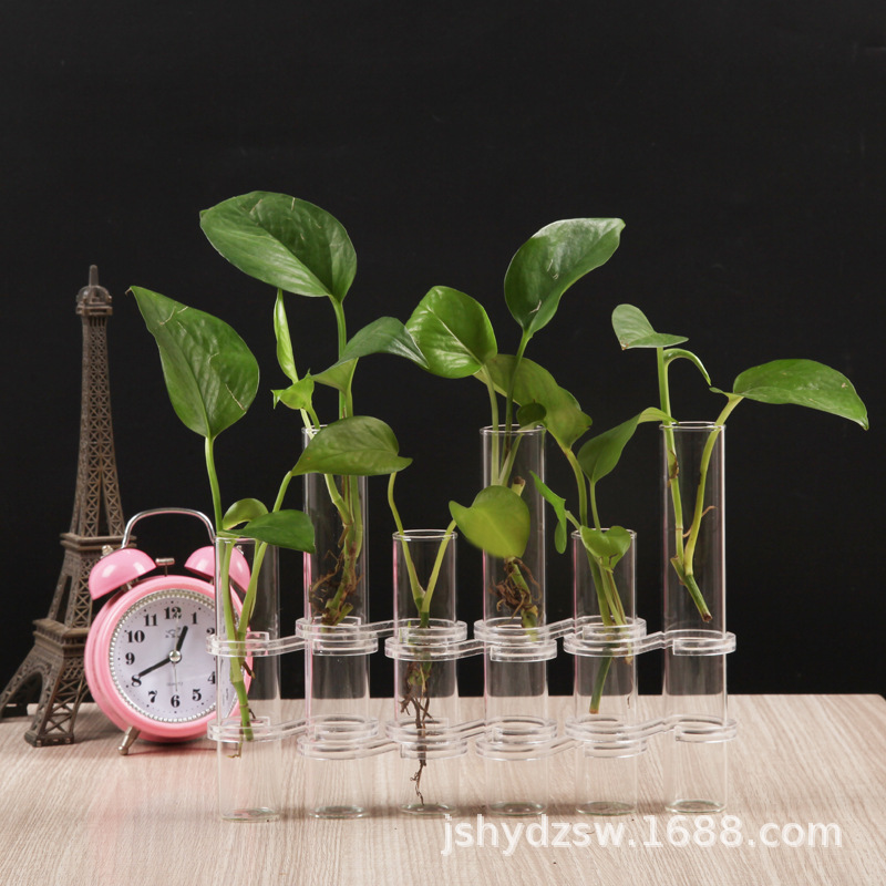 Glass Vase Ornaments Living Room Flower-arranging Transparent Water-nourishing High-level Sense Ins Decoration Internet Celebrity Niche Vase