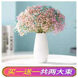 云南干花花束真花鲜花大束批发直发勿忘我客厅摆件装饰插花工厂