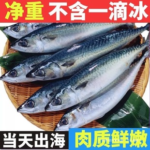 �T�~ ��ռ�~ ���r�໨�~ ��S���]С�E�~������ϰ��/�l�y�~ɢ�b